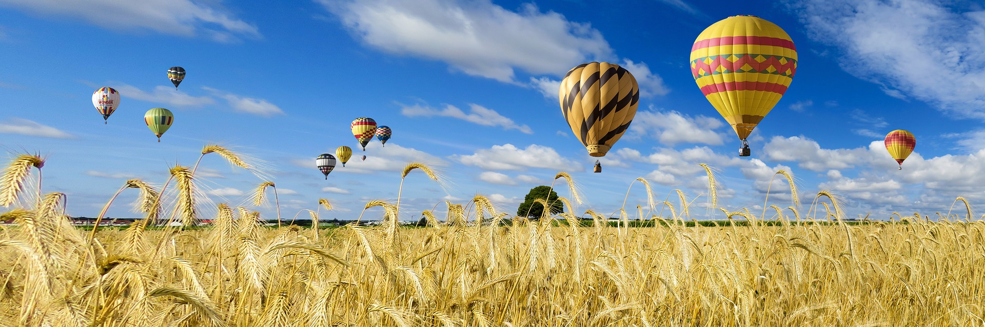 Naturlandschaft mit Heißluftballons